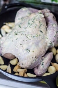 Roasted Chicken with 40 Cloves of Garlic | www.oliviascuisine.com