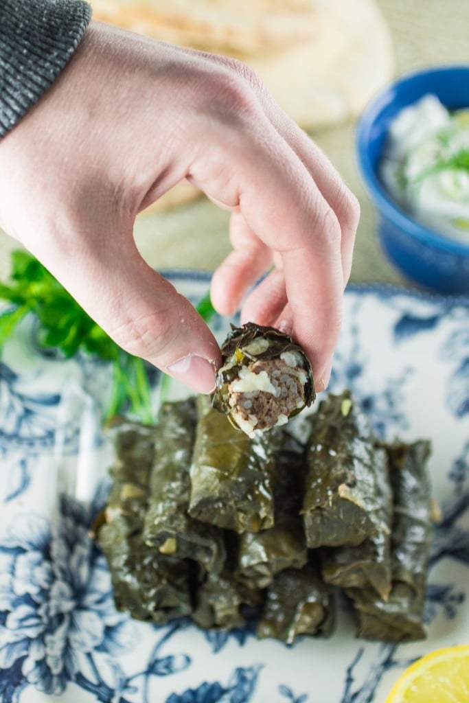 Meat & Rice Stuffed Grape Leaves | www.oliviascuisine.com