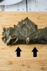 Meat & Rice Stuffed Grape Leaves | www.oliviascuisine.com