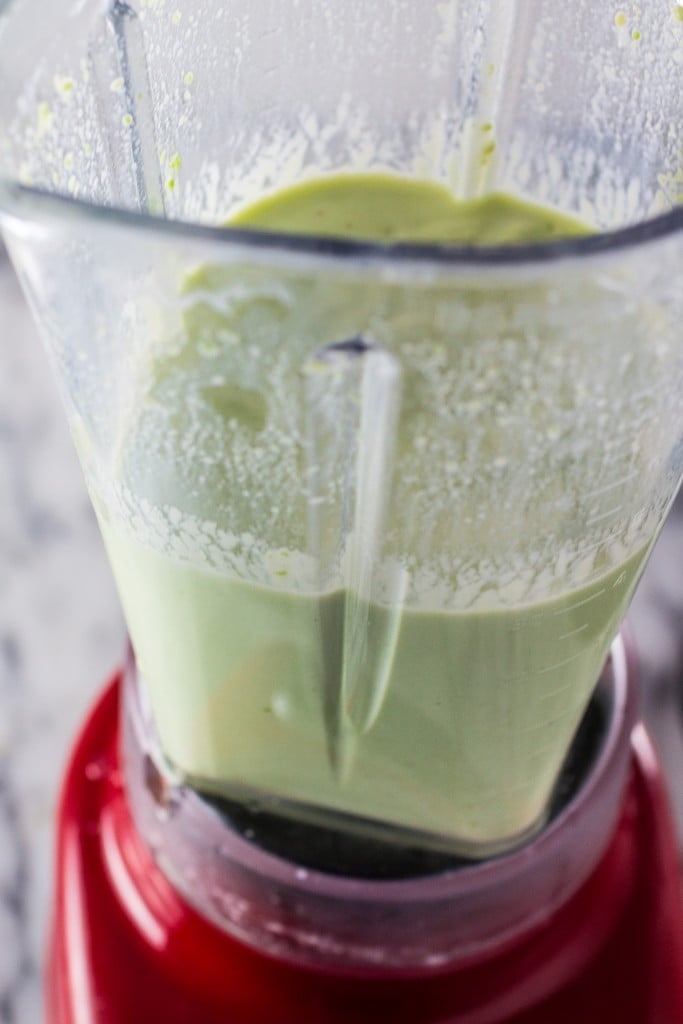 Indonesian Avocado Milkshake | www.oliviascuisine.com | Creamy, avocado smoothie sweetened with agave!