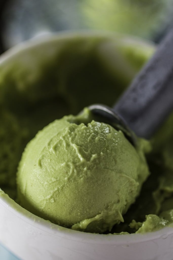 Avocado Ice Cream | www.oliviascuisine.com | Summer is here and it's time to indulge in this creamy, mouth-watering, delicious Avocado Ice Cream! No eggs, easy to make (in the blender), ice cream machine optional! 