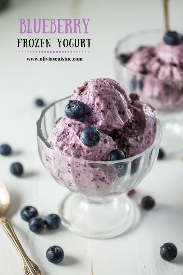 Blueberry Frozen Yogurt | www.oliviascuisine.com | Healthy and guilt-free, this recipe for Blueberry Frozen Yogurt is made with low-fat greek yogurt and with no processed sugar!