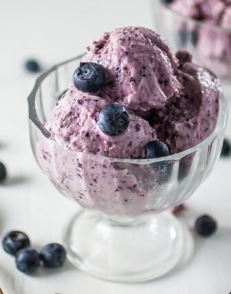 Blueberry Frozen Yogurt