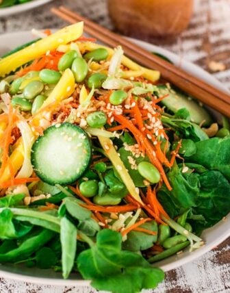 Asian Salad with Sesame Ginger Vinaigrette