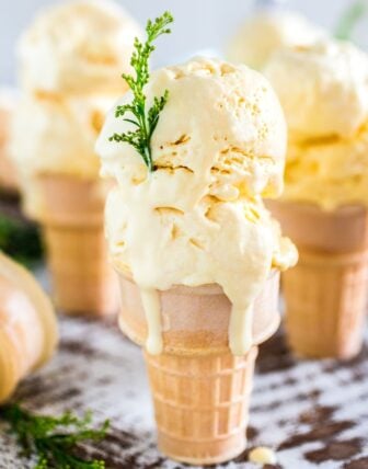 Passion Fruit Ice Cream