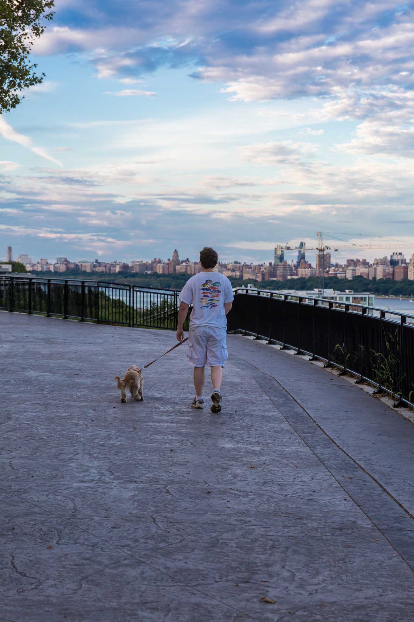 Fun Things to Do With Your Dog in the Summer - 87