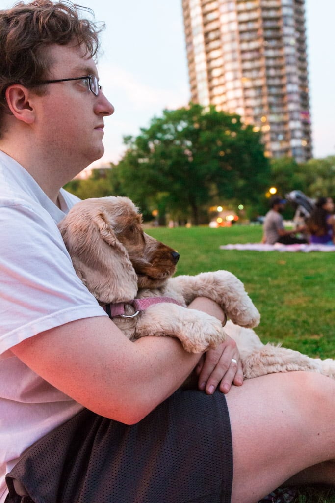Fun Things to Do With Your Dog in the Summer - 87