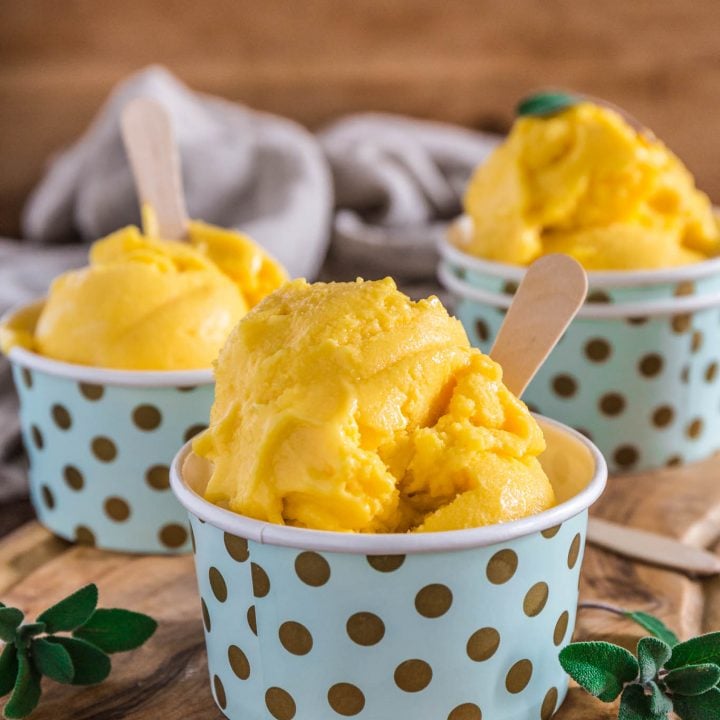 Mango Frozen Yogurt