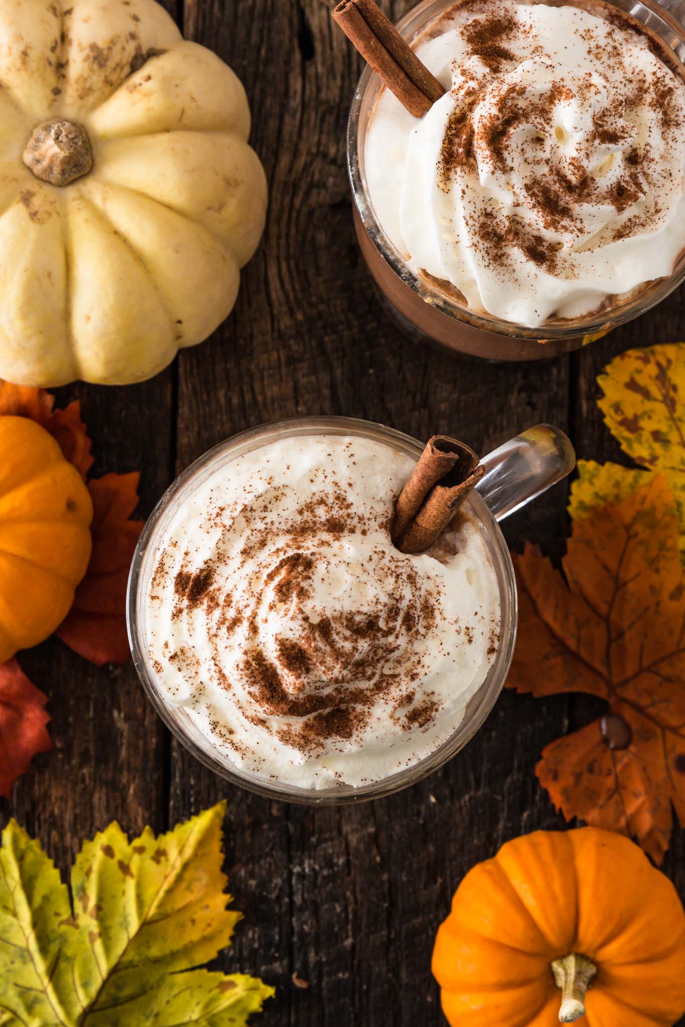 Pumpkin Spice Hot Chocolate | www.oliviascuisine.com | Creamy and extra rich, this Pumpkin Spice Hot Chocolate tastes like Fall in a cup. I can't think of a better way to celebrate the season! (Recipe and food photography by @oliviascuisine.)