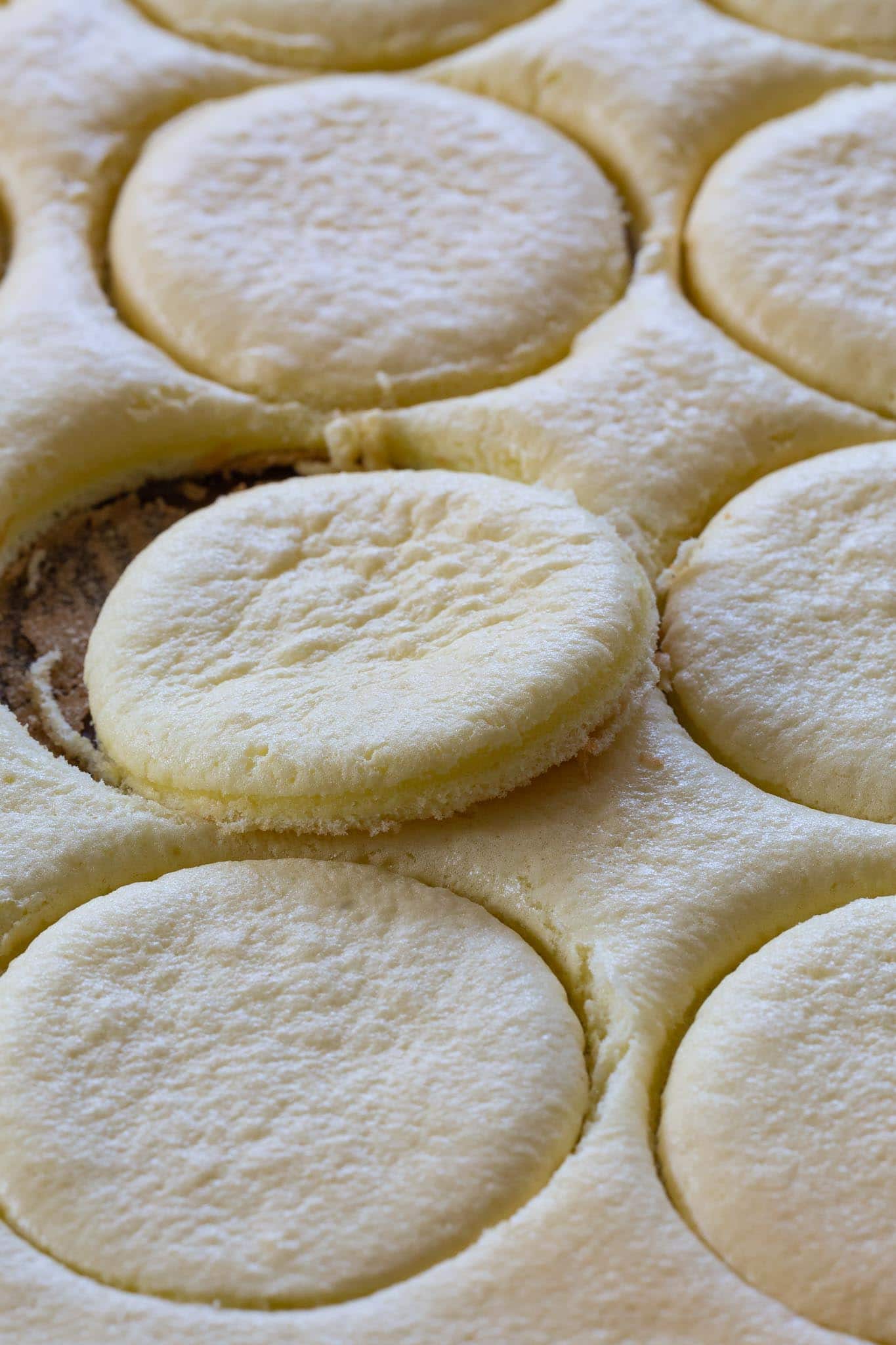 Angel cake cut into cookies