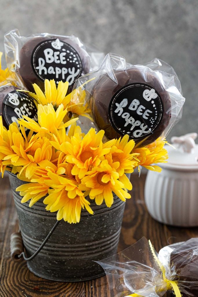 Brazilian Honey Cakes wrapped as party favors.