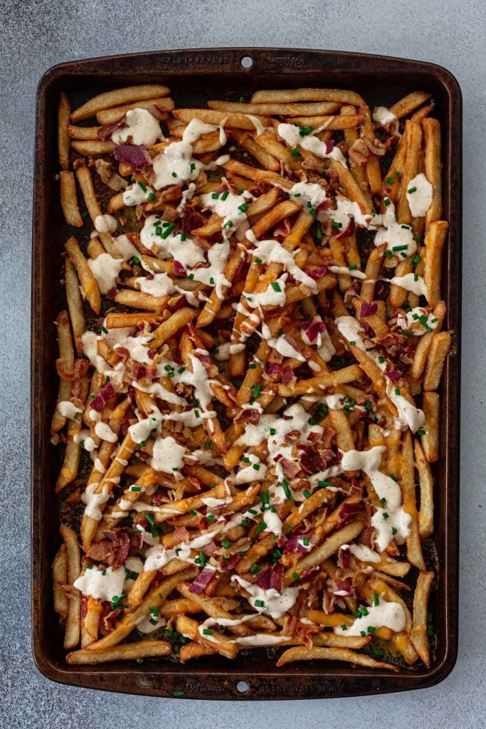 Loaded French fries