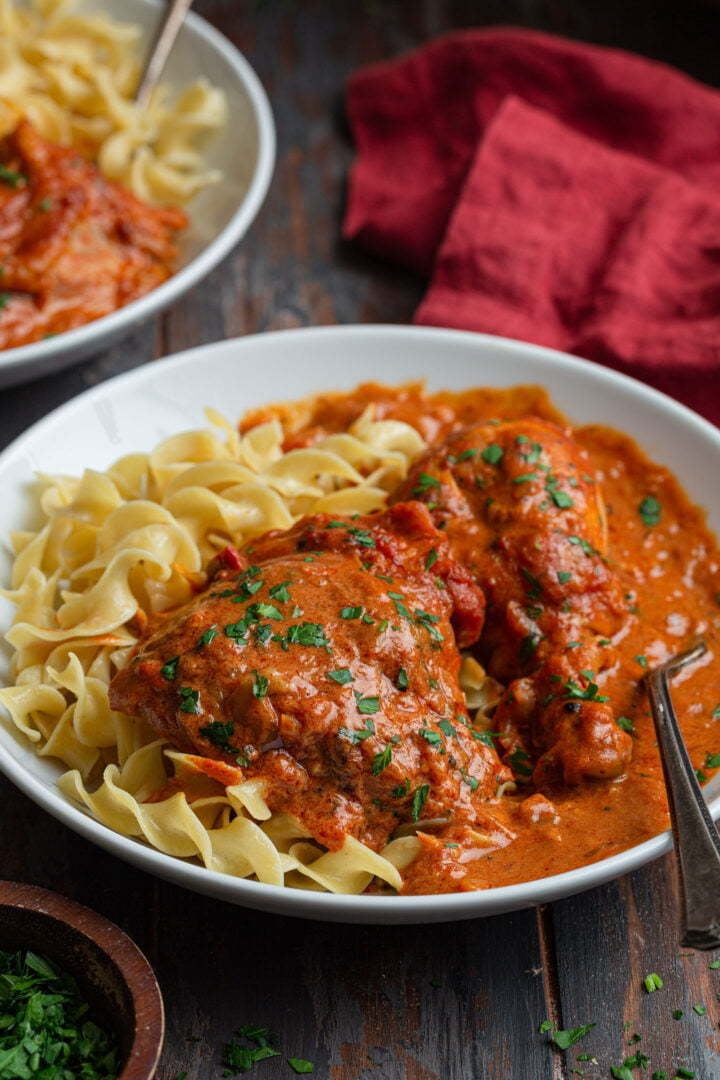 A bowl of Chicken Paprikash over noodles.