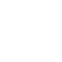 Rice Bowl Icon