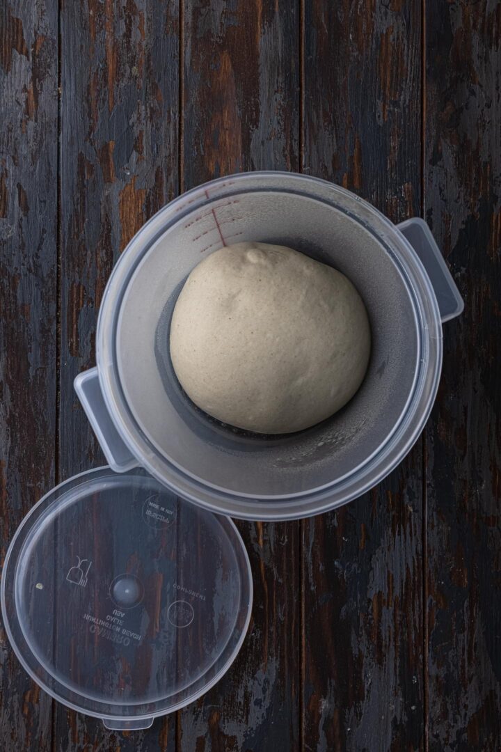 Dough before proofing.
